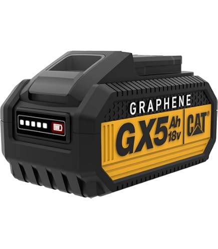CAT® 18V 1 for All Battery – 2Ah - DXB2 : Amazon.ca: Tools